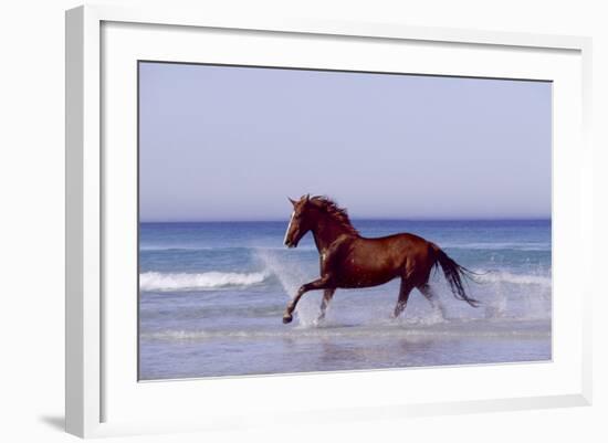 Horse Trotting Through Waves in Sea-null-Framed Photographic Print