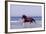 Horse Trotting Through Waves in Sea-null-Framed Photographic Print