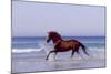 Horse Trotting Through Waves in Sea-null-Mounted Photographic Print