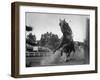 Horse Twisting Its Body as It Hits Turn During Race at Cumberland-Hank Walker-Framed Photographic Print