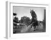 Horse Twisting Its Body as It Hits Turn During Race at Cumberland-Hank Walker-Framed Photographic Print