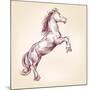 Horse Vector Llustration-VladisChern-Mounted Art Print