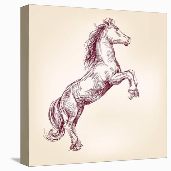 Horse Vector Llustration-VladisChern-Stretched Canvas