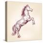 Horse Vector Llustration-VladisChern-Stretched Canvas