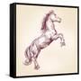 Horse Vector Llustration-VladisChern-Framed Stretched Canvas