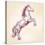 Horse Vector Llustration-VladisChern-Stretched Canvas