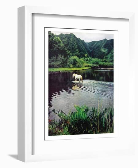 Horse Wading in Stream Amid Hills in Papera Region, South Seas-Eliot Elisofon-Framed Photographic Print