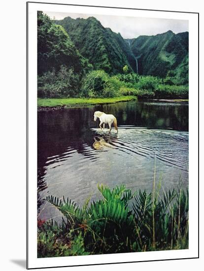 Horse Wading in Stream Amid Hills in Papera Region, South Seas-Eliot Elisofon-Mounted Photographic Print