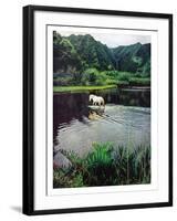 Horse Wading in Stream Amid Hills in Papera Region, South Seas-Eliot Elisofon-Framed Photographic Print