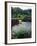 Horse Wading in Stream Amid Hills in Papera Region, South Seas-Eliot Elisofon-Framed Photographic Print