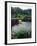 Horse Wading in Stream Amid Hills in Papera Region, South Seas-Eliot Elisofon-Framed Photographic Print