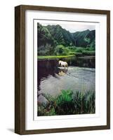 Horse Wading in Stream Amid Hills in Papera Region, South Seas-Eliot Elisofon-Framed Photographic Print