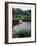 Horse Wading in Stream Amid Hills in Papera Region, South Seas-Eliot Elisofon-Framed Photographic Print