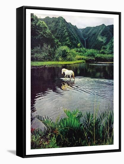 Horse Wading in Stream Amid Hills in Papera Region, South Seas-Eliot Elisofon-Framed Stretched Canvas