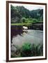 Horse Wading in Stream Amid Hills in Papera Region, South Seas-Eliot Elisofon-Framed Photographic Print