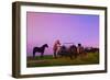 Horse Wagon-null-Framed Photographic Print