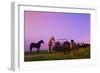 Horse Wagon-null-Framed Photographic Print