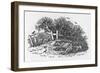 Horse Waiting to Die-Thomas Bewick-Framed Art Print