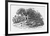 Horse Waiting to Die-Thomas Bewick-Framed Premium Giclee Print