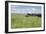 Horse Wallowing in Green Prairie-Quintanilla-Framed Photographic Print