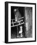 Horse Wearing Bandage Due to Bowed Tendon-Hank Walker-Framed Photographic Print