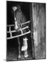 Horse Wearing Bandage Due to Bowed Tendon-Hank Walker-Mounted Photographic Print