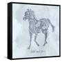 Horse Wild-Erin Clark-Framed Stretched Canvas