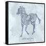 Horse Wild-Erin Clark-Framed Stretched Canvas