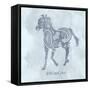 Horse Wild-Erin Clark-Framed Stretched Canvas