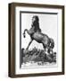 Horse with a Harrow, the First Palace of Trocadero Constructed for the Universal Exhibition in 1878-Pierre Louis Rouillard-Framed Giclee Print