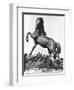 Horse with a Harrow, the First Palace of Trocadero Constructed for the Universal Exhibition in 1878-Pierre Louis Rouillard-Framed Giclee Print