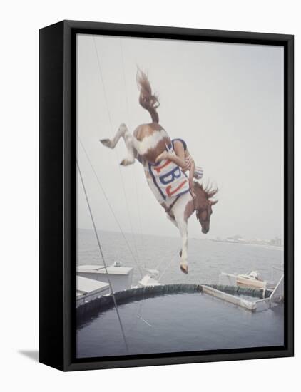 Horse with LBJ Banner Diving into the Water at Atlantic City-Art Rickerby-Framed Stretched Canvas