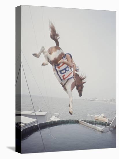 Horse with LBJ Banner Diving into the Water at Atlantic City-Art Rickerby-Stretched Canvas