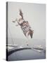 Horse with LBJ Banner Diving into the Water at Atlantic City-Art Rickerby-Stretched Canvas