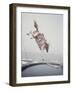 Horse with LBJ Banner Diving into the Water at Atlantic City-Art Rickerby-Framed Premium Photographic Print