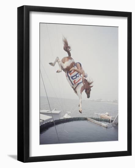 Horse with LBJ Banner Diving into the Water at Atlantic City-Art Rickerby-Framed Premium Photographic Print