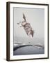 Horse with LBJ Banner Diving into the Water at Atlantic City-Art Rickerby-Framed Photographic Print