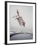 Horse with LBJ Banner Diving into the Water at Atlantic City-Art Rickerby-Framed Photographic Print