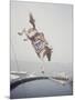 Horse with LBJ Banner Diving into the Water at Atlantic City-Art Rickerby-Mounted Photographic Print