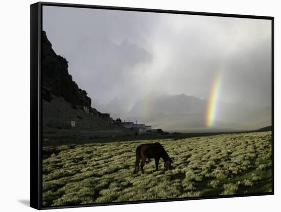 Horse with Rainbow, Tibet-Michael Brown-Framed Stretched Canvas