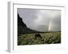 Horse with Rainbow, Tibet-Michael Brown-Framed Premium Photographic Print