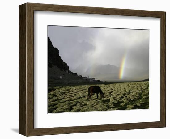 Horse with Rainbow, Tibet-Michael Brown-Framed Photographic Print