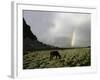 Horse with Rainbow, Tibet-Michael Brown-Framed Photographic Print