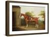 Horse with Side Saddle-Thomas Weaver-Framed Giclee Print