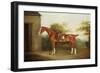 Horse with Side Saddle-Thomas Weaver-Framed Giclee Print