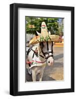 Horse with Straw Hat in Valladolid, Yucatan Peninsula, Mexico-null-Framed Art Print