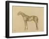 Horse-Edgar Degas-Framed Giclee Print