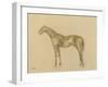 Horse-Edgar Degas-Framed Giclee Print