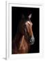 Horse-Fabio Petroni-Framed Premium Photographic Print