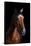 Horse-Fabio Petroni-Framed Stretched Canvas